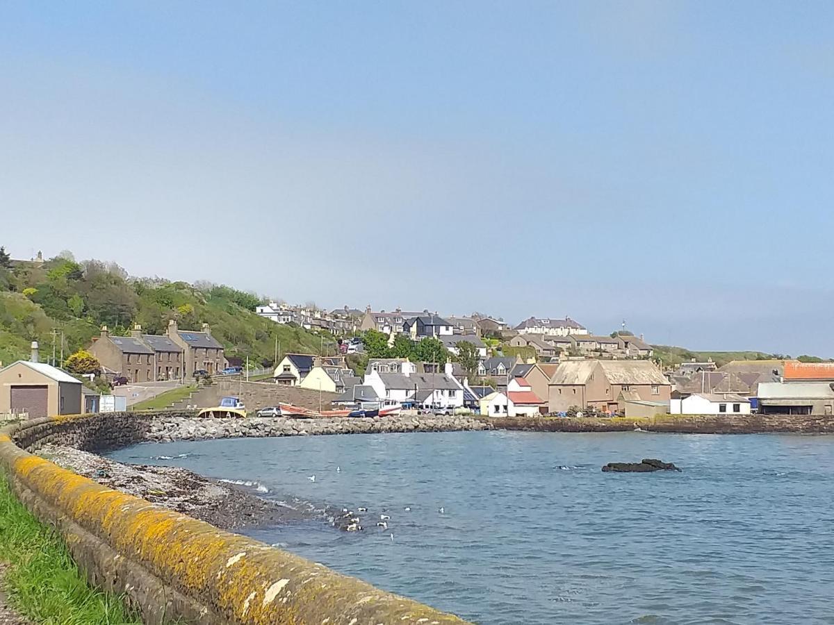 Coastal Cottage Inverbervie Exterior foto